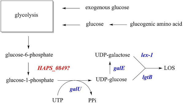 Figure 1