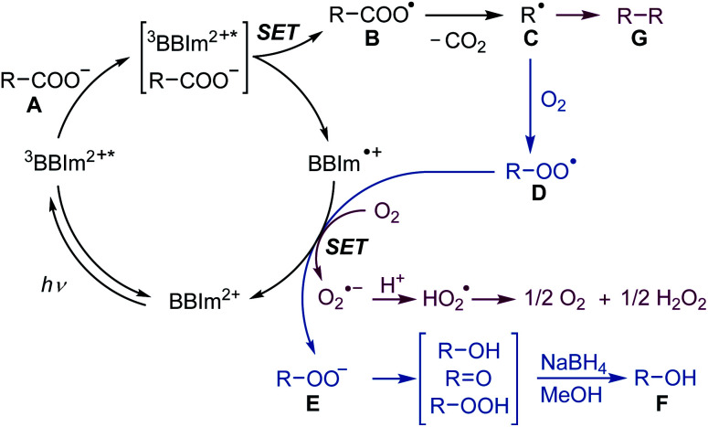 Scheme 5