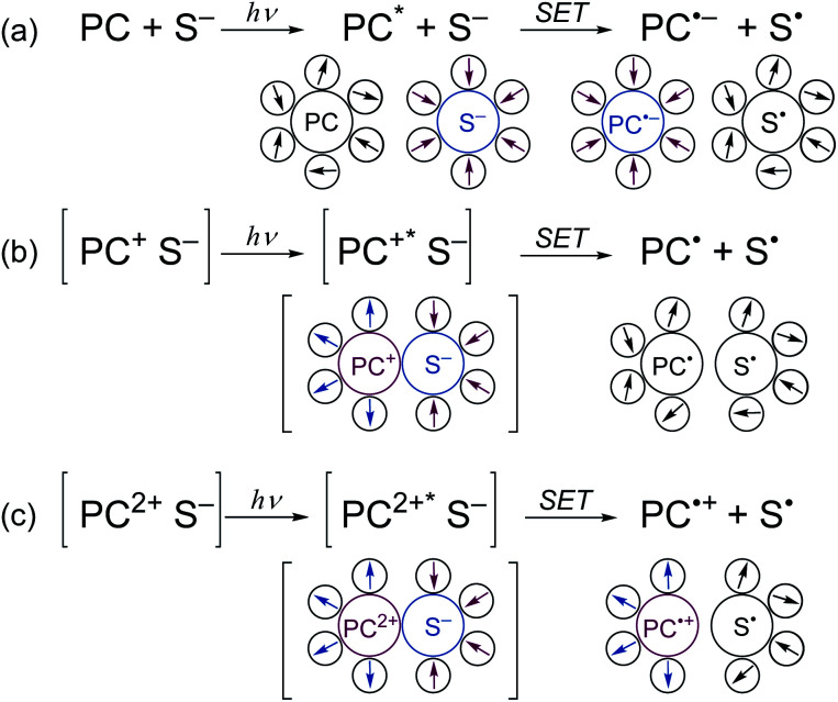 Scheme 6