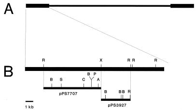 FIG. 1