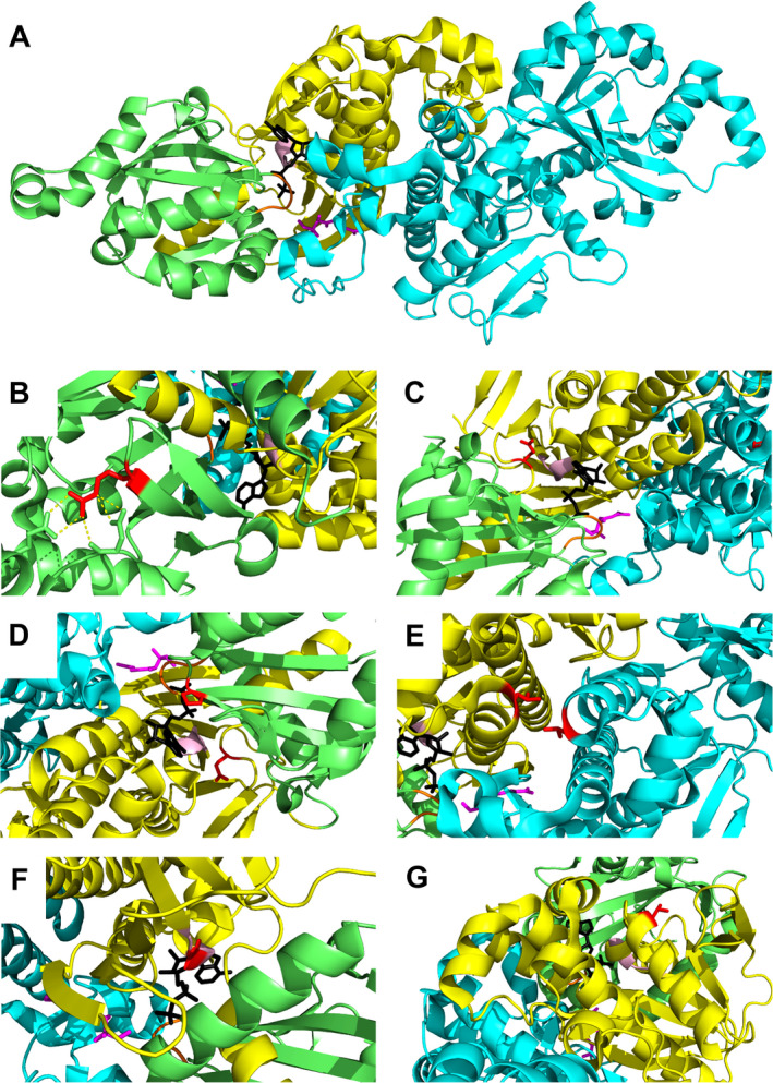 Figure 5