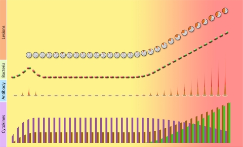 Fig. 2.