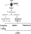 FIGURE 12.