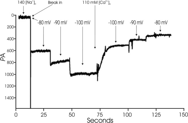 FIGURE 2.