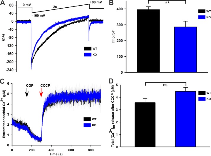 FIGURE 7.