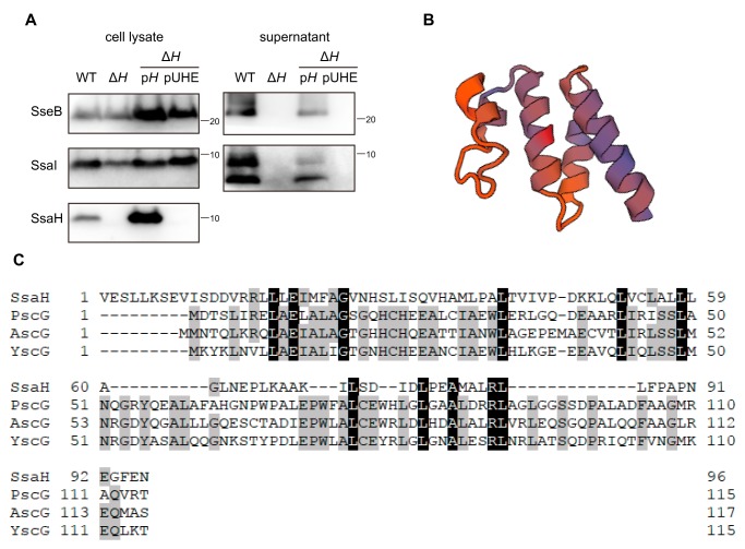 Figure 3.