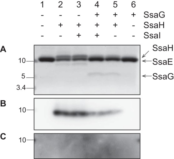 Figure 6.