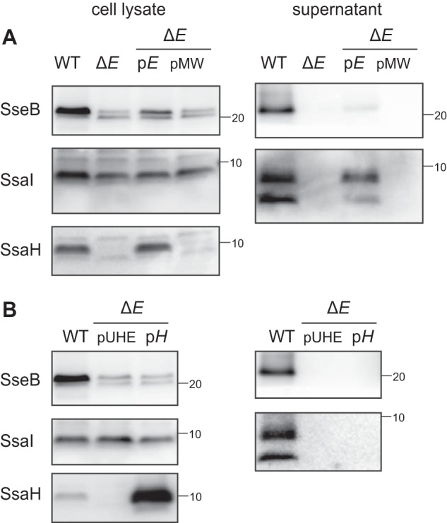 Figure 5.