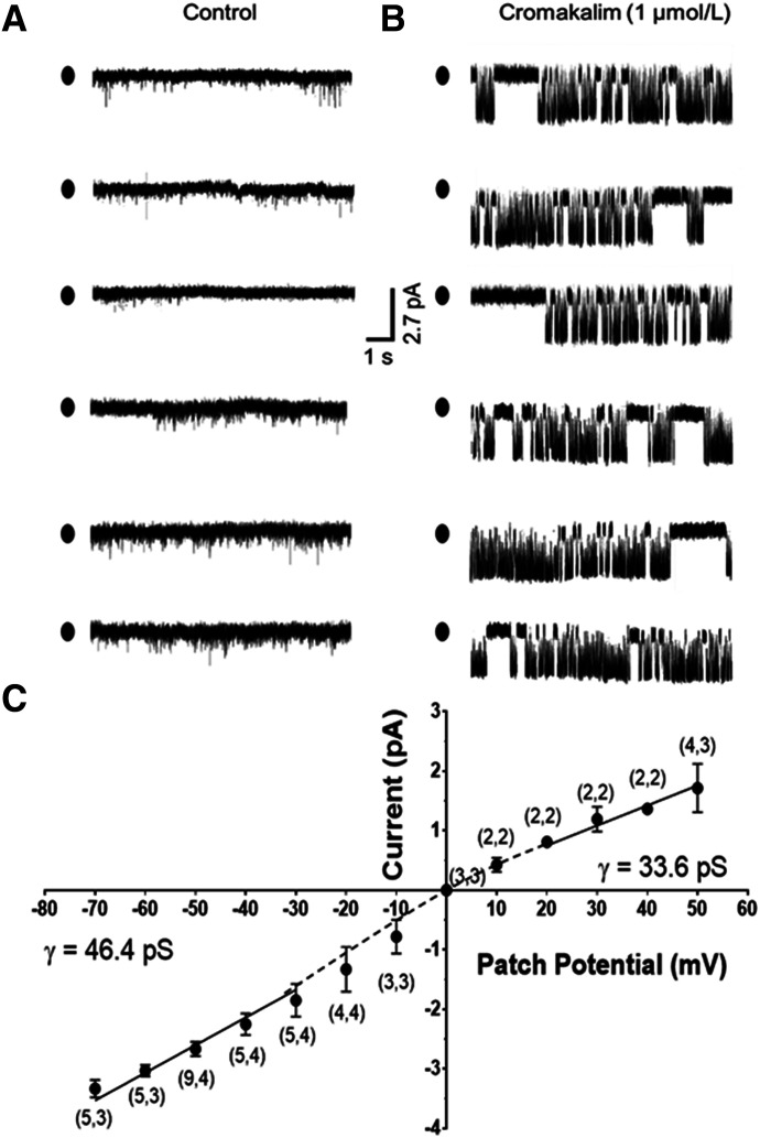 Fig. 7.