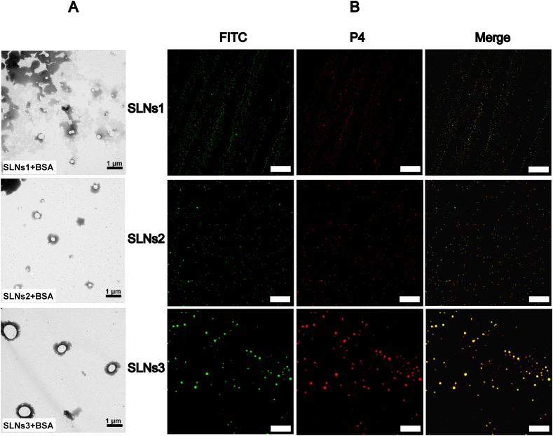 Figure 4