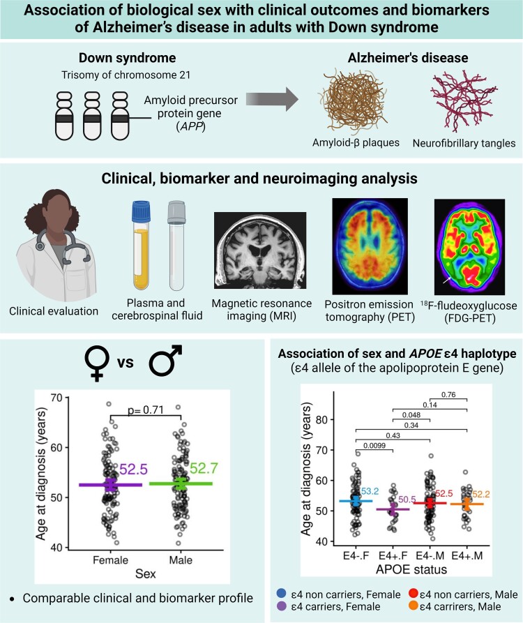 Graphical Abstract