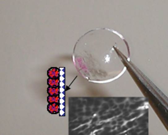 Figure 4