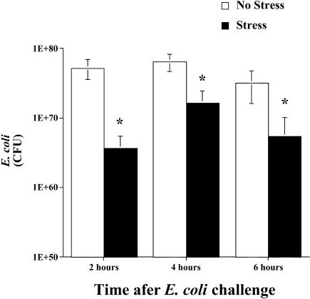 Fig 1.