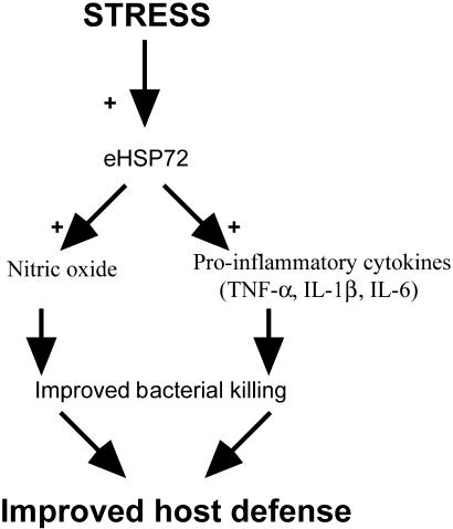 Fig 12.