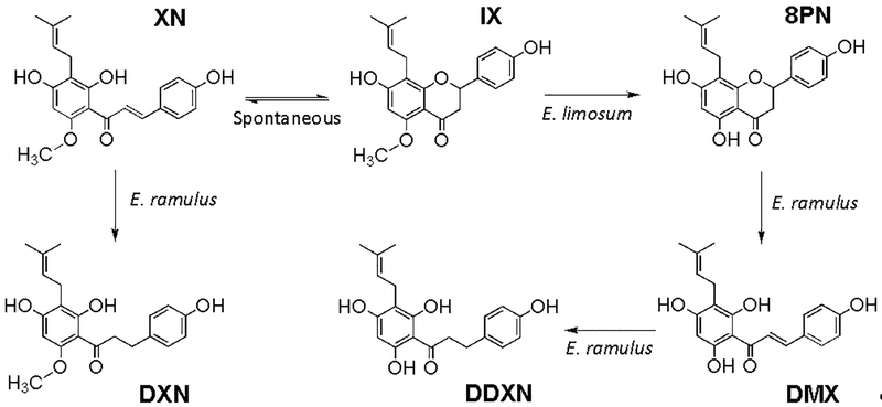 Figure 5.