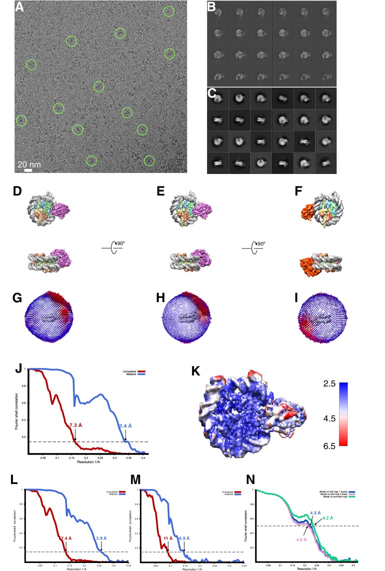 Figure 1—figure supplement 1.