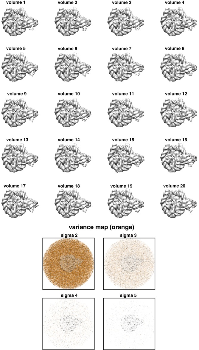 Figure 1—figure supplement 6.