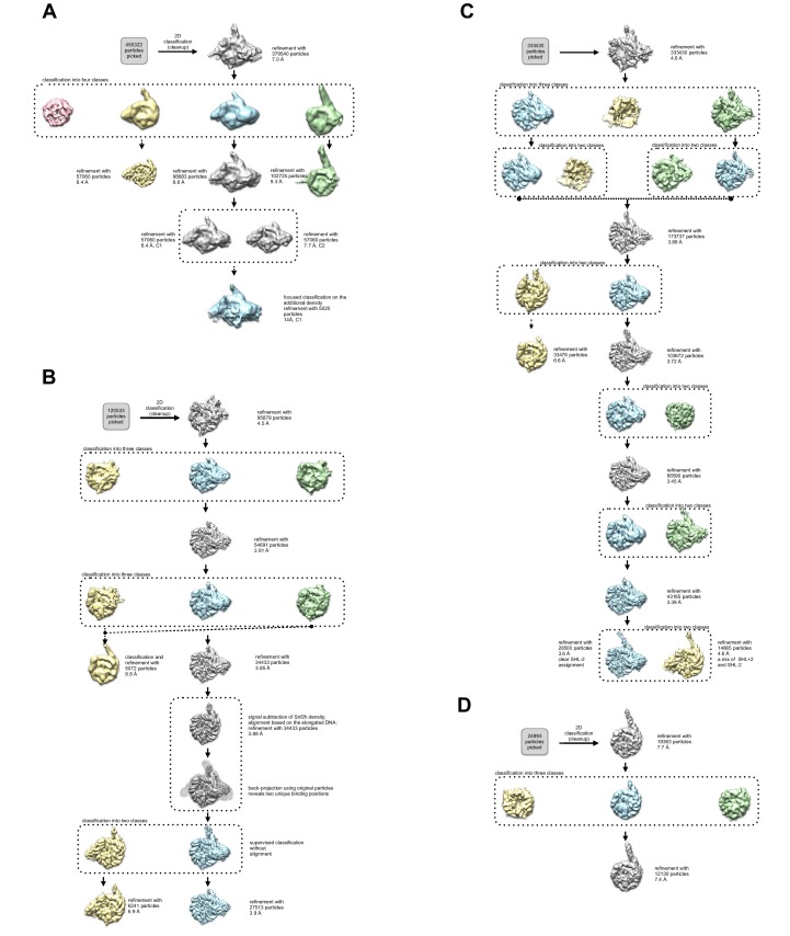 Figure 2—figure supplement 2.