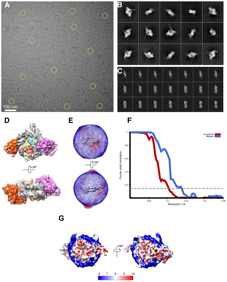 Figure 2—figure supplement 1.