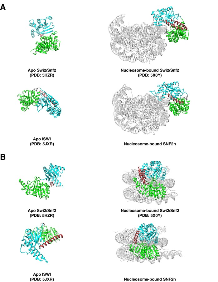 Figure 3—figure supplement 3.