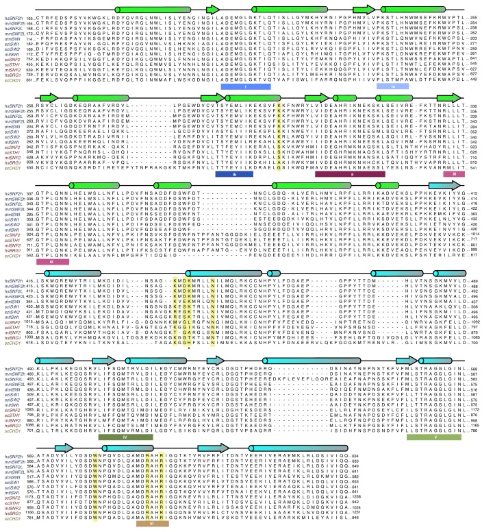 Figure 3—figure supplement 4.