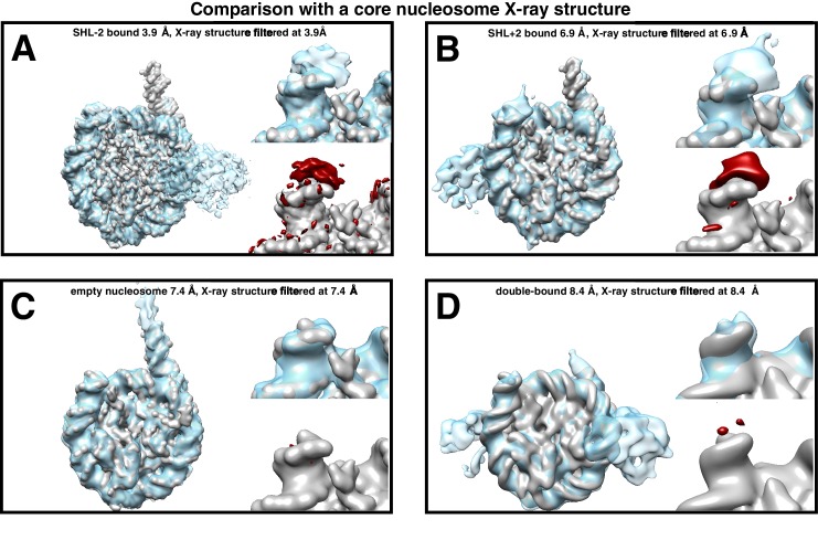 Figure 1—figure supplement 5.