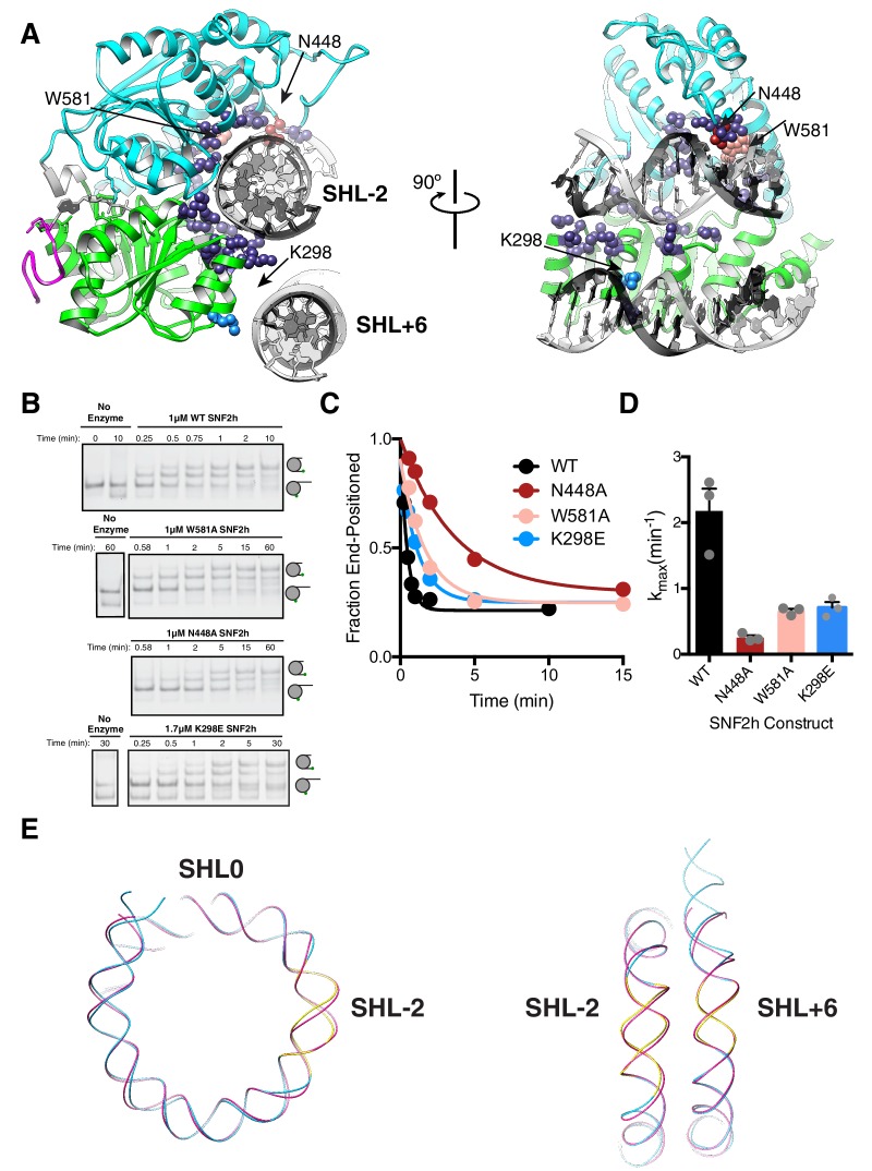 Figure 4.