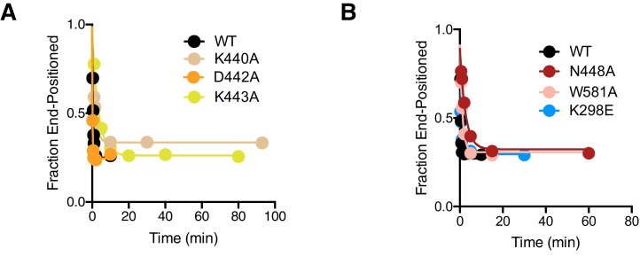 Figure 3—figure supplement 6.