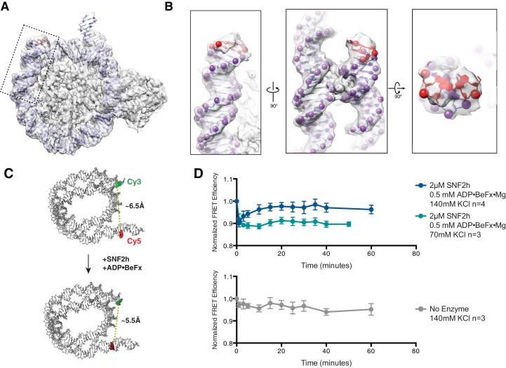 Figure 1—figure supplement 3.