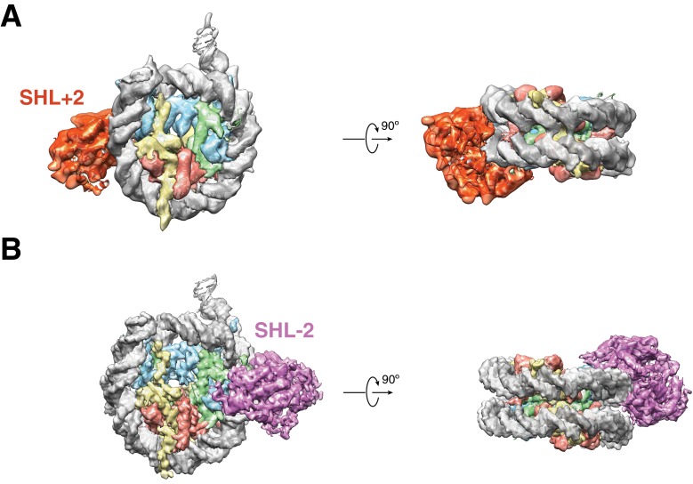 Figure 1—figure supplement 2.