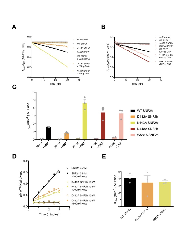 Figure 3—figure supplement 5.