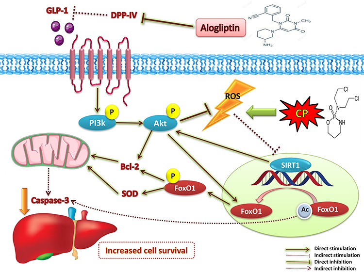 Graphical Abstract