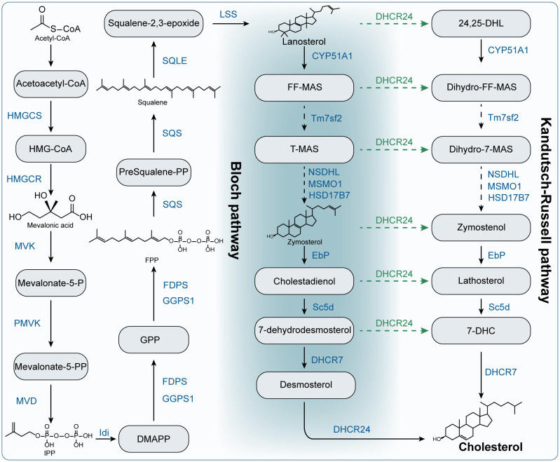 Figure 2