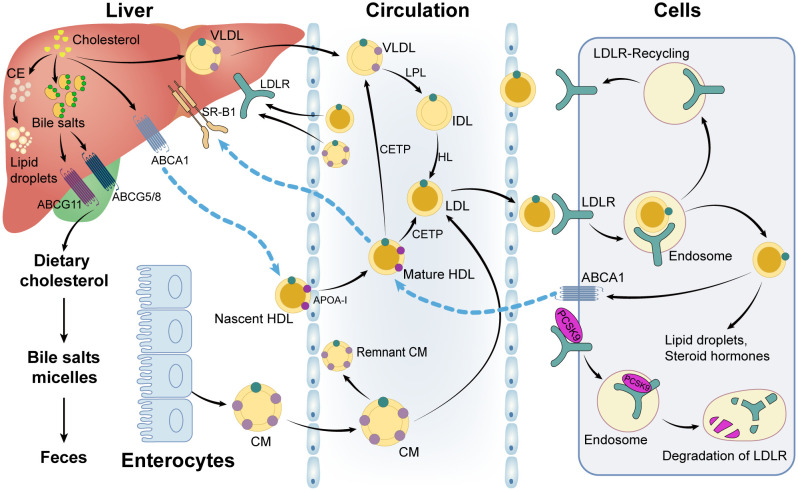 Figure 3