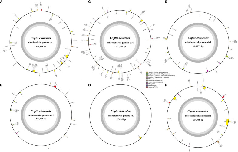 Figure 2