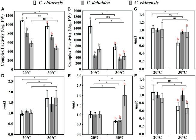 Figure 6