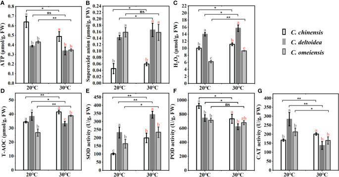 Figure 7