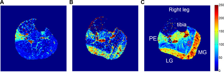 Fig. 3.