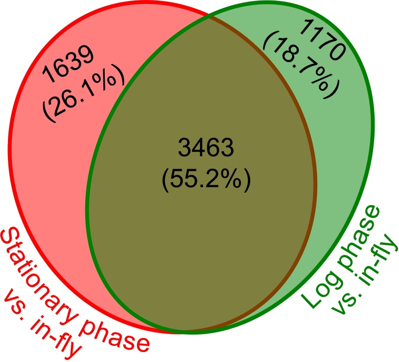 Fig 8