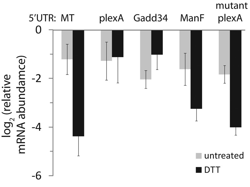 FIGURE 4: