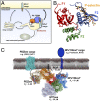 Fig. P1.