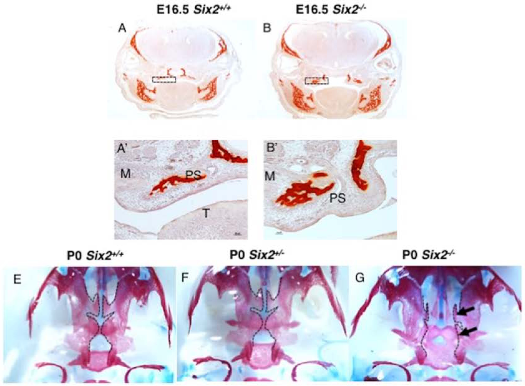 Fig. 6.