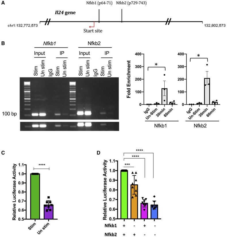 Figure 6