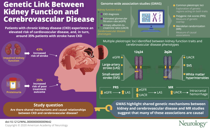 graphic file with name NEUROLOGY2019998062FFU1.jpg