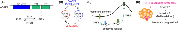 FIGURE 2