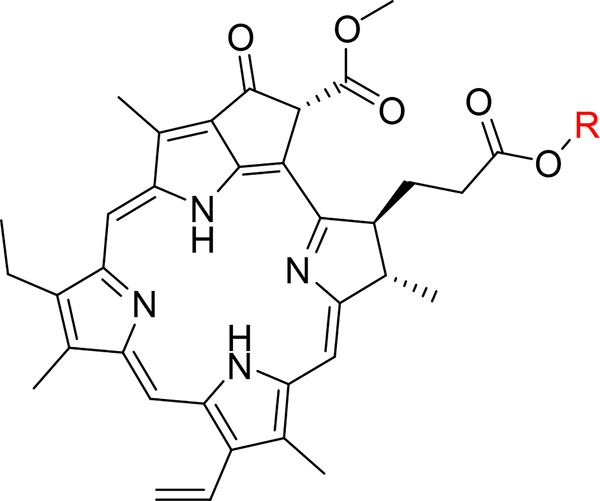 Figure 4: