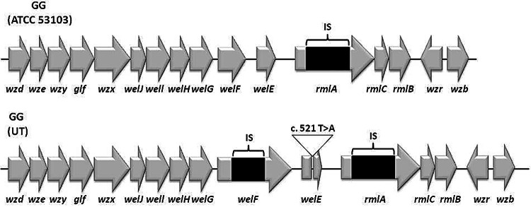 FIG 3