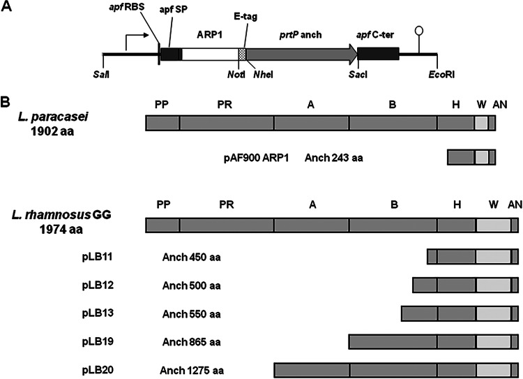 FIG 1