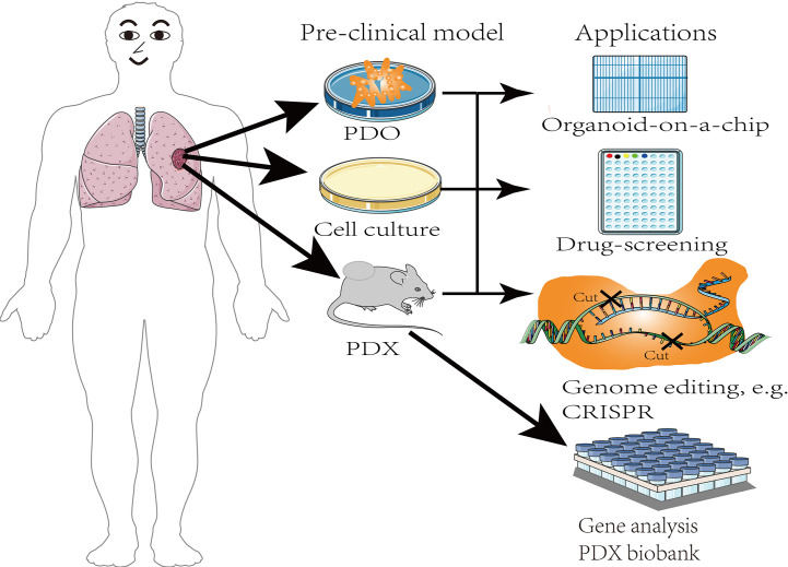 Figure 4