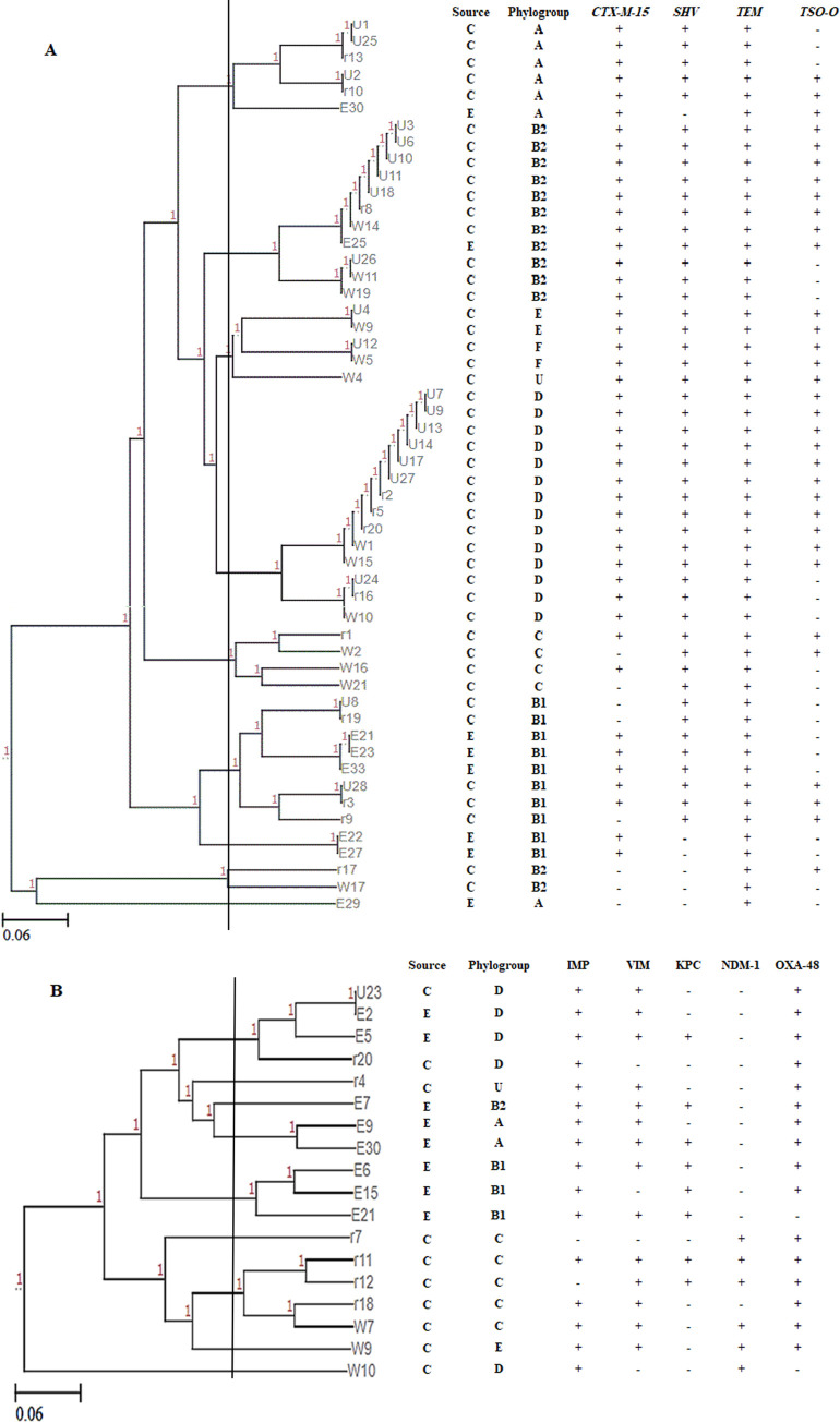 Fig 7